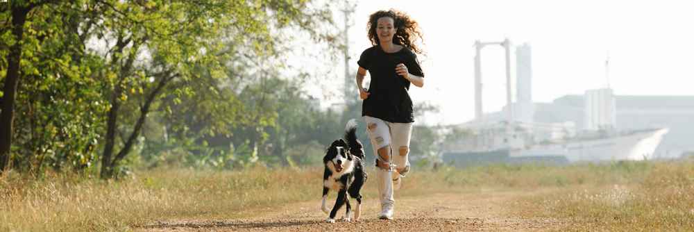 dog running at large